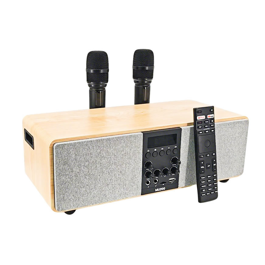 MUZEE M10 All-in-One Heimkino- & Karaoke-System